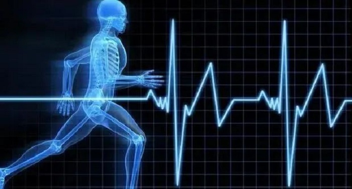 The role of electric pulses in the medical field