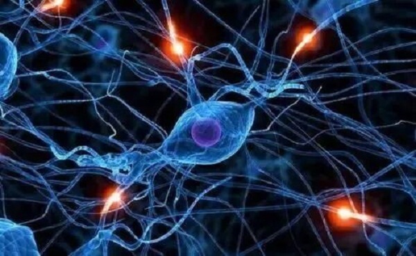 Do you konw about bio electric system therapy?